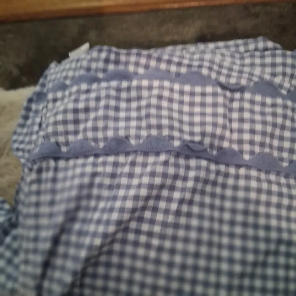 Pottery Barn Teen Sweet Gingham blue sheet set twin XL + Euro Cases + Sham 5pc